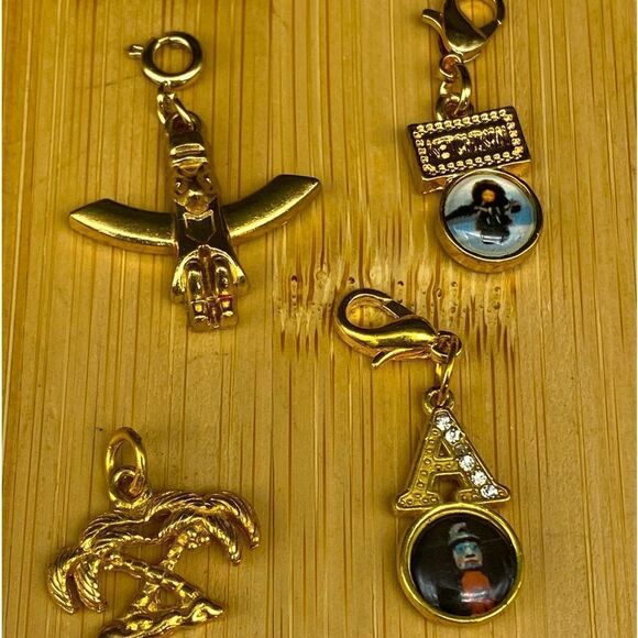 Set of 9 gold plated charms and one 1/5g 10k gold charm with a total wt of 24g - Picture 8 of 16
